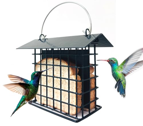 Double Suet Bird All-Metal Divided Feeder Weather-Resistant Solid Roof Top Squirrel Proof for Outdoors Hanging Suet Cake Cage Holder Perch for Outside Garden Yard - style: Double Suet With Roof Top