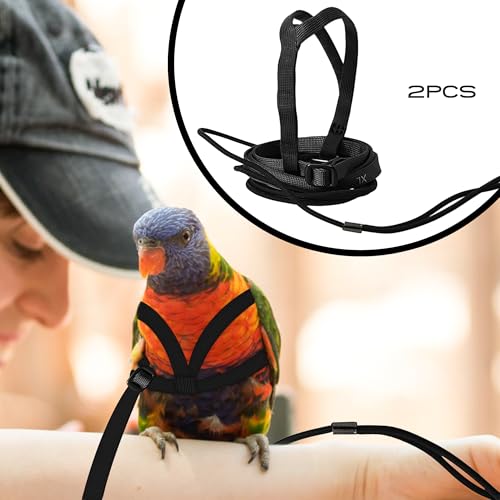 2 pcs Pet Parrot Bird Harness and Leash, Adjustable Training Design Anti-Bite, Outdoor Flying Training Rope Kit for Bird Parrots Fits Birds Chest Between24-51cm /9.45-20inch - M (Black - color: black, size: Small