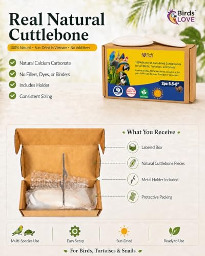 Birds LOVE 5.5-6″ Cuttlebone for Birds – 100% Natural Sun-Dried Calcium & Beak Conditioning Supplement for Parakeets, Budgies, Cockatiels, Finches & Canaries – 2 Pack with Holder – Made in Vietnam - size: 2 Count (Pack of 1)
