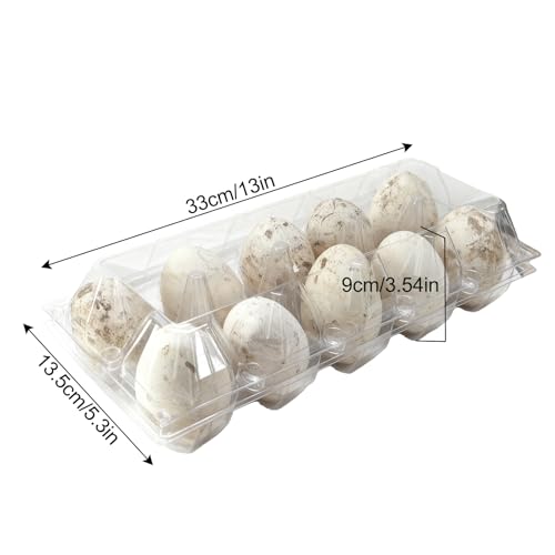 Plastic Goose Egg Cartons Cheap Bulk Empty Clear Large Duck Eggs Tray Holders Box for Farm Reusable Storage Container (20, 2×5)