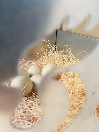 Duncan’s 4 Hole Chicken Nesting Box for Laying Hens, American Made Galvanized Steel Hen Nesting Boxes, Easy Assembly Poultry Nest Box for Chicken Coop, Heavy Duty Metal Design