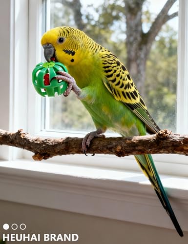 12 Pack Colorful Bell Balls Bird Toys for Parakeets | Parrots, Small and Medium Birds, 1.6 in - 2.8 in - size: 1.6'' - 2.8''