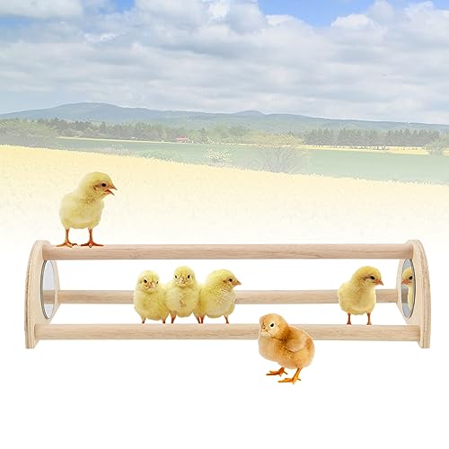 JEUIHAU 2 PCS 13 Inch Chick Training Perch, Freestanding Chicken Roosting Bar, Small Chicks Perches Chicken Roosting Bar for Parrots Chicks