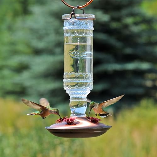 Perky-Pet Antique Glass Bottle Hummingbird Feeder - Outdoor Garden Décor Hummingbird Feeder - 8107-1SR - 10 Fl Oz Nectar Capacity - Durable Humming bird Feeder for Backyards, Porches, Decks, Hooks - style: Clear Bottle