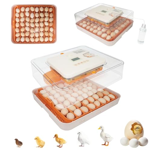 Gen IV – 56 Egg Fullly Automatic Incubator, 2026 Upgraded Design, Intelligent Sensor-Based Humidity & Temp Control, Chick Separator, Custom Days, Adjustable Auto Turning & Stop, Flexible Egg Spacing - size: 56 egg-orange