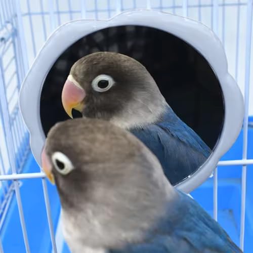 Bird Mirror with Perch - Easy Cage Install, Ideal for Parakeets Cockatiels Conures Lovebirds Finch Canaries Budgies, Wooden Bird Toys (2 Pack)