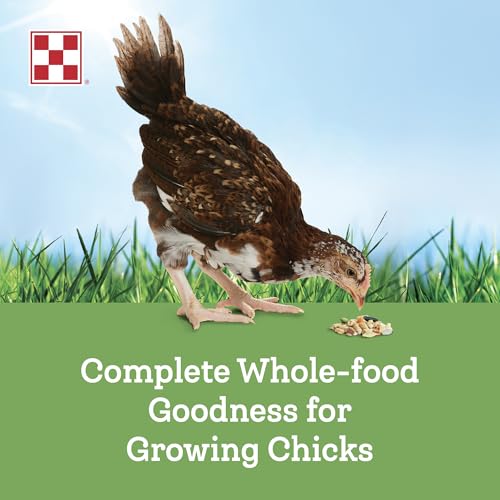 Purina® Farm to Flock™ 18% Grower Chick Food, 25 Pound Bag