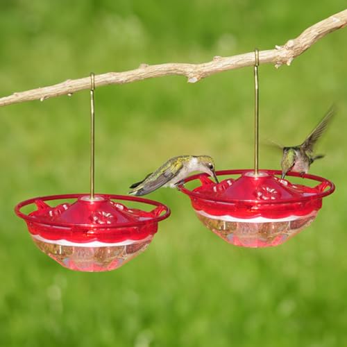 Aspects Mini HummBlossom Hummingbird Feeder, 4 oz, Rose (2-Pack)