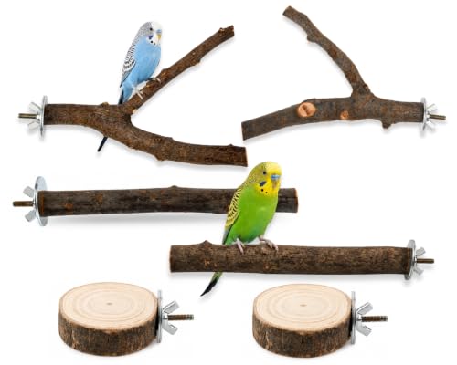6 PCS Bird Perches for Cage | Natural Apple Wood Perch Set with Platforms for Small Birds, Parakeets, Budgies, Cockatiels Climbing, Resting & Foot Exercise