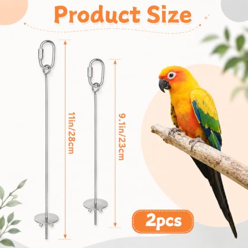 2 PCS Bird Cage Holder Bird Foraging Toys Fruit Birds Feeder | Stainless Steel Hanging Vegetable Fruit Feeder Parrot Fruit Vegetable Skewer for Parakeet Budgie Macaw
