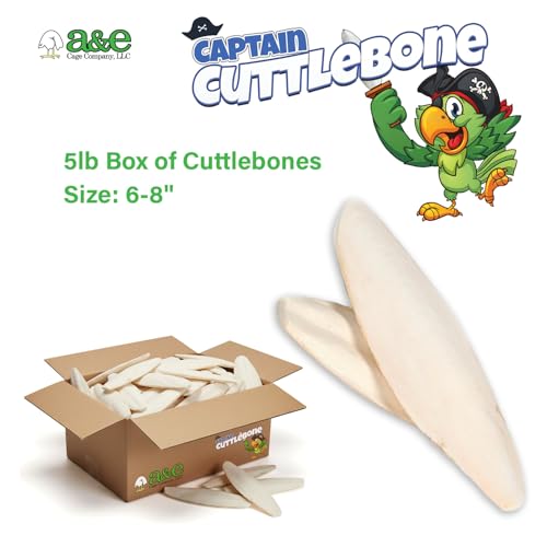 A&E Cage Co Captain Cuttlebone Natural Cuttlebone for Birds, 5 lb Bulk Box | Extra-Large Pieces, Natural Calcium Source, Supports Beak Trimming, For Breeders & Aviaries, 6-8 Inch