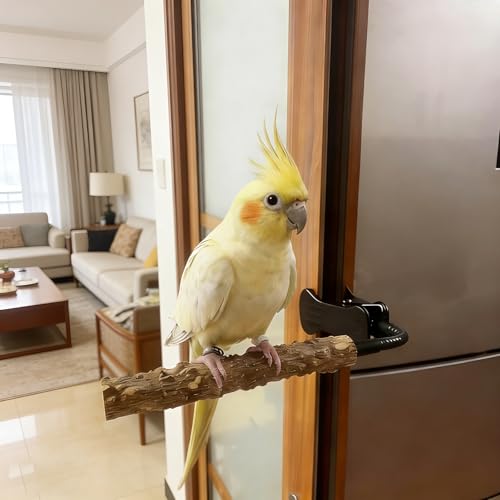 Bird Perch Stand with Clip, Adjustable & Portable Parrot Stand with Parrot Feeding Cups Bendable Training Perch for Cockatiels, Conures, Lovebirds ird cage Accessories - color: rough-cup
