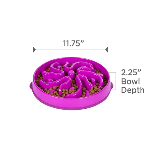 Outward Hound Fun Feeder Slo Bowl – Large 4‑Cup Capacity, Slow Feeding, Medium to Large Dogs, Non‑Slip, Purple, Flower Pattern - color: Purple, size: Large