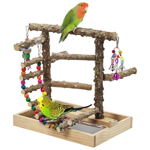 BNOSDM Natural Wood Bird Playground for Training & Playing, Parrot Perch Stand Jungle Gym with Hanging Bridge & Detachable Tray Parakeet Cage Playstand for Budgie, Cockatiel, African Grey - color: Bird Stand with Bridge