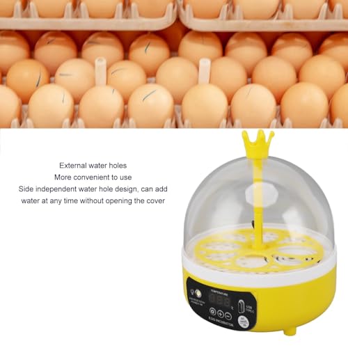 4 Eggs Mini Incubator, 7W USB Household Small Poultry Hatching Machine Automatic Temperature Humidity Control Egg Turner with Clear Lid Water Injector Spray Bottle for Chicken, Quail, Bird Eggs | ABS mini 4 egg incubator with auto turn humidity control Tr