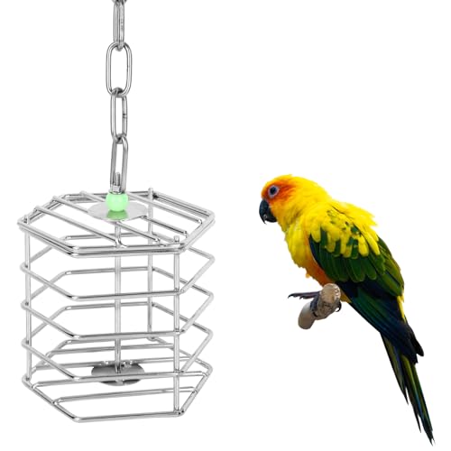 Stainless Steel Bird Suet Feeder Cage with Chain & Bead, Hanging Bird Food Holder Intelligent Feeding Box Millet Treat Holder for Macaw Cockatoo Cockatiel Parrot