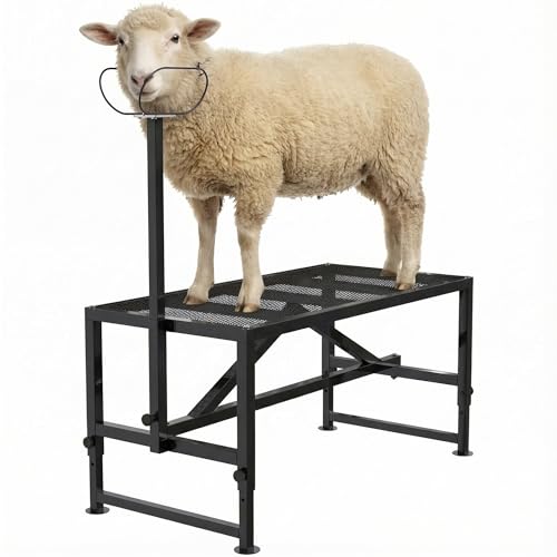 Goat Milking Stand 47x23 inch Heavy-Duty Metal Livestock Stand, 500lbs Capacity, Adjustable Height 21"-37", for Milking/Trimming/Grooming - color: Black, size: 47 inch chain