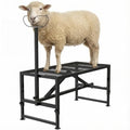 Goat Milking Stand 47x23 inch Heavy-Duty Metal Livestock Stand, 500lbs Capacity, Adjustable Height 21"-37", for Milking/Trimming/Grooming - color: Black, size: 47 inch chain