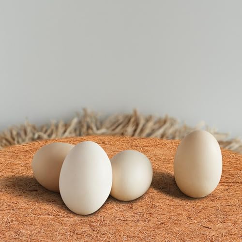 TOYANDONA 4pcs Coconut Coir Chicken Nesting Pads for Coop Box, 30cm Breathable Hatching Mat 0.6-0.8cm Thickness, Reusable Egg Nesting Liners Suitable for Poultry and Small Animals