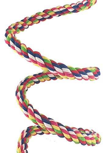 Bird Rope Perch Parakeet Toys, Spiral Cockatiel Toy, 63" Bird Bungee Rope Perches, Cage Accessories