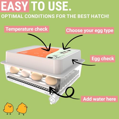 OBI-36 Egg Incubator for Hatching - 36 Eggs - Stable Temperature & Humidity Control with Eggloo Insulation, Candler - Ideal for Families and Farms - Suitable for Chicken, Duck, Quail Eggs - color: Orange