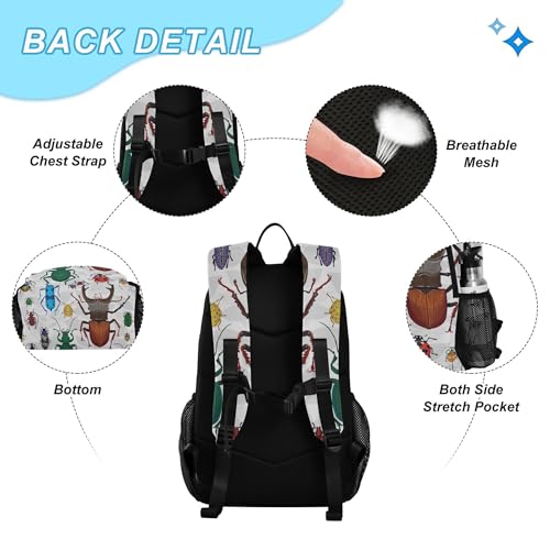 Bugs Small Beetles Insect Backpack with Lunch Bag, School Backpack for Teens Boys Girls Kids Backpacks Set - color: Grey and White
