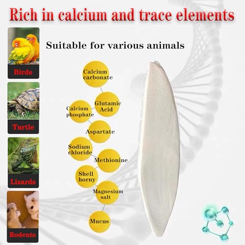 4.7-5.1'' Cuttlebone for Parakeets Cuttlebone for Birds - Natural Cuttlefish Bone Bulk Chew Toy Bird Bites Calcium Stone for Canaries Tortoises,Snails,Reptiles,Parrots,Cockatiel-20PCS - size: 20PCS