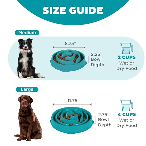 Outward Hound Fun Feeder Slo Bowl – Medium 2‑Cup Capacity, Slow Feeding, Small to Medium Dogs & Cats, Non-Slip, Turquoise, Drop Pattern - color: Turquoise, size: Medium