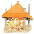 Brooder Plate for Chicks,10" x 10" Heat Plate for Chicks with Triangular Cone Anti-Perch Design（Orange）