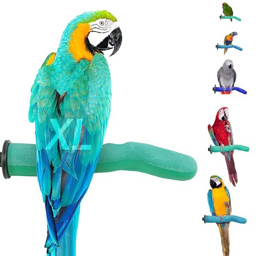 Sweet Feet and Beak Safety Pumice Bird Perch, X-Large Pedicure Perch, Green | Plastic Bird Nail Trimming Perch, Pumice Coated Surface for Healthy Feet and Beak, 13.5" Perch, Available In 5 Sizes - color: Green, size: X-Large 14"