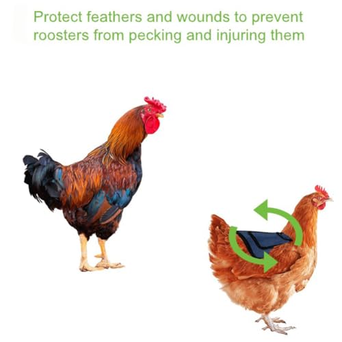 Outdoor Chicken Aprons Clothes 6 Pcs Chicken Saddle For Hens Hen Saddles with Elastic Adjustable Strap