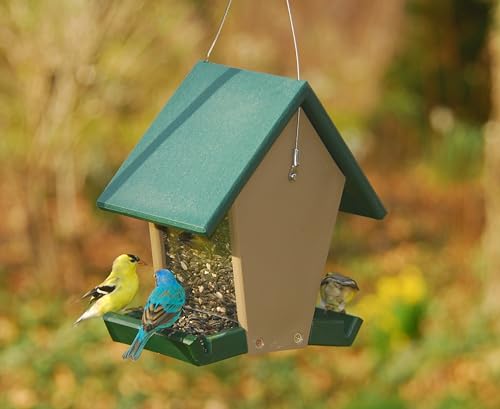 Recycled Plastic Small Hopper Bird Feeder, Green and Driftwood | Recycled Plastic; Small Hopper Feeder; Green Driftwood; Seed Feeder