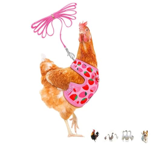 Chicken Harness and Leash Set Adjustable Mesh Breathable Pets Leashs Duck Training Harness for Goose Hen Rooster Parrots Dog Kitten,Pink Peach M - color: Pink, size: M( Chest 13-16.2")