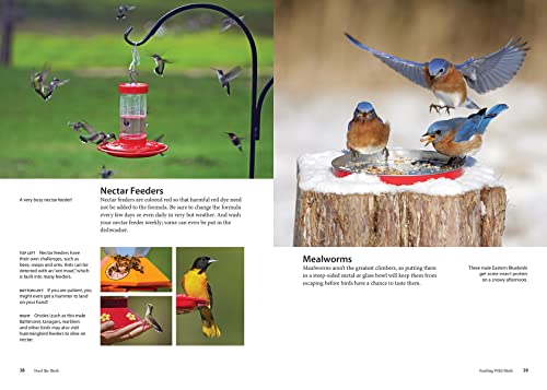 Feed the Birds: Attract and Identify 196 Common North American Birds