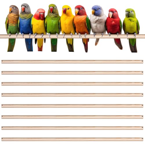 Sintuff Bird Perches for Cage Accessories, Wooden Perch Rods Replacement with Double Head Slots, 0.6 Inch Diameter Natural Wood Stand for Parrot Macaw Cockatoo Parakeet (21 Inches,8 Pcs) - size: 21 Inches