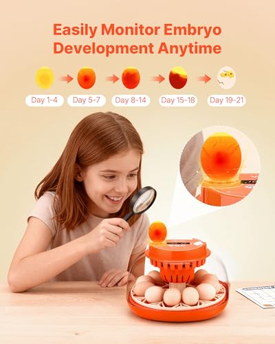 VEVOR 12 Egg Incubator, Automatic Egg Turner with LED Candler, Temperature & Humidity Control, 360° View Clear Window, Poultry Eggs Incubator for Home Farm, Hatching Chicks Ducks Goose Quail - size: 12 Eggs