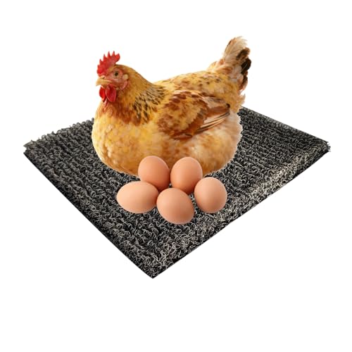 Nesting Pads for Chicken Coop, Washable Plastic Nesting Box Liners, Reusable Box Pads, Coop Accessories for Chicken Hen Box Laying Eggs, Gray,12 x 12 inch (1 Pack) - color: 1 Pack