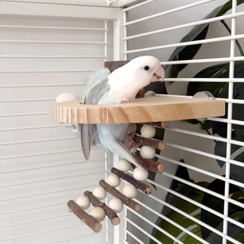 Climbing Toys for Hamster and Small Parrot, Natural Apple Wood Playing Toys | Cage Accessories for Guinea Pig, Gerbils, Chinchillas, Rats, Parakeets, Conures, Syrian, Bird, Mice