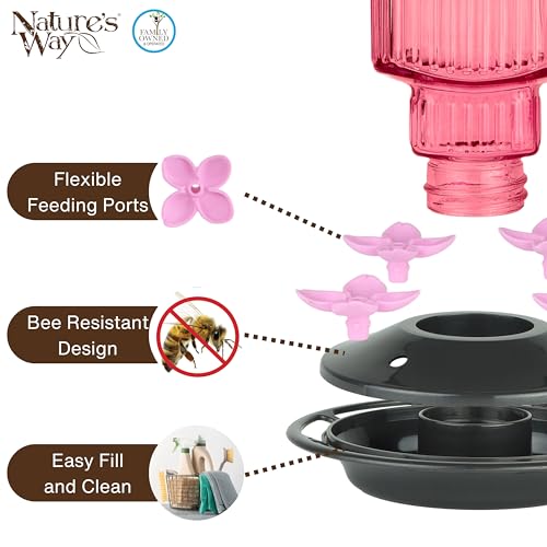 Nature’s Way Petal Pink Antique Glass Gravity Hummingbird Feeder with Bronze Plastic Base, 22 Ounce Capacity, 4 Flexible Pink Flower Ports and Perches, Bee-Resistant Design - color: Pink