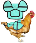 COOPED UP Canvas Chicken Saddle for Medium-Large Hens with Larger Wing Cover and Adjustable Straps - Teal - color: Teal