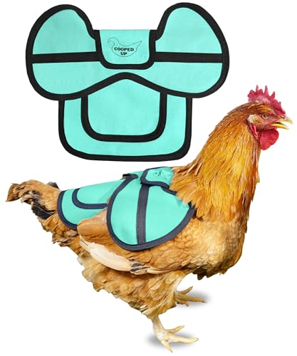 COOPED UP Canvas Chicken Saddle for Medium-Large Hens with Larger Wing Cover and Adjustable Straps - Teal - color: Teal