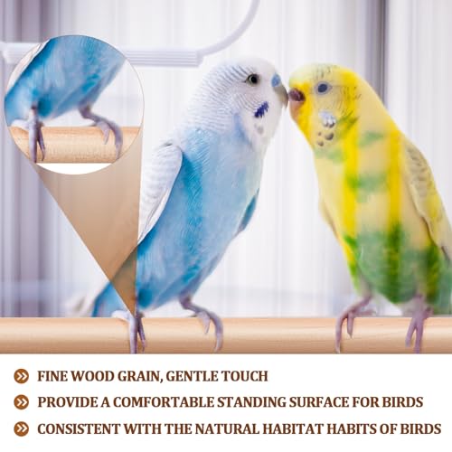 Sintuff 8 Pcs Bird Perches for Cage Accessories, Wooden Perch Rods Replacement with Double Head Slots, 0.6 Inch Diameter Natural Wood Stand for Parrot Macaw Cockatoo Parakeet (18 Inches,24 Inches) - size: 18 Inches,24 Inches