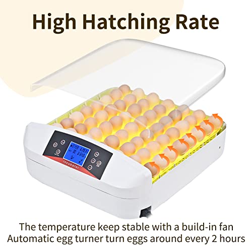 Egg Incubator ，56 Eggs Fully Automatic Egg Incubator with LED Lighting Automatic Turner and Intelligent Temperature Control， for Eggs/Duck Eggs/Bird Eggs/Goose Eggs Hatching