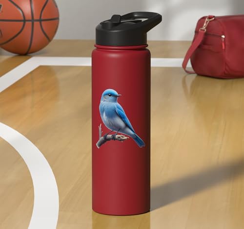 Bird Series. Mountain Bluebird. Stainless Steel Insulated Water Bottle - color: Red