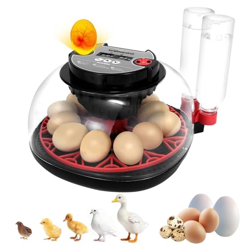 Gen II - 12 Egg Automatic Incubator, Two-Stage Humidity with Auto-Refill & Stable Temp Control, Auto Egg Turning, Candler, Real-Time Display for Hatching Chicken, Goose, Duck, Quail, Pigeon - size: 12 egg-black
