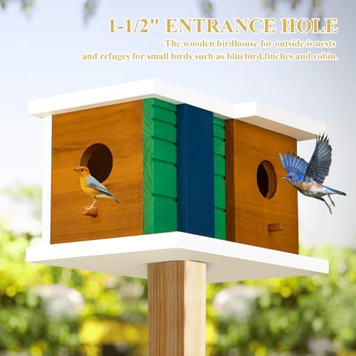 Bird House Wooden Birdhouse with 2 Holes - Bird House for Outside Ideal for Bluebird,Finch, Cardinals and Garden Wild Birds - Outdoor Hanging Bird Nesting Box