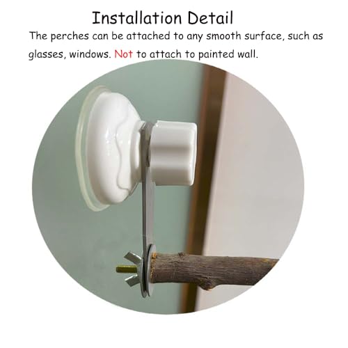 Natural Bird Perch Stand with Suction Cup for Window Mirror Car Shower Travel Bath Wood Perch Indoor Outdoor Wild Birds Small Medium Large Parrot Parakeet Cockatiel Concure Finch Lovebirds T Shape