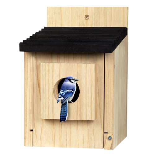 Bird House for Outside - Wooden Bluebird House with Predator Guard - Outdoor Bird Nesting Box for Finch, Cardinals - Hanging Birdhouse for Watching Wild Bird