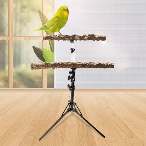 Oooct 16-63 Inch Height Adjustable Bird Perch Stand, Natural Pepper Wood Parrot Perch Toy, Bird Training Perch Stand, Indoor and Outdoor Bird Stands for Small to Medium Bird - size: Size B