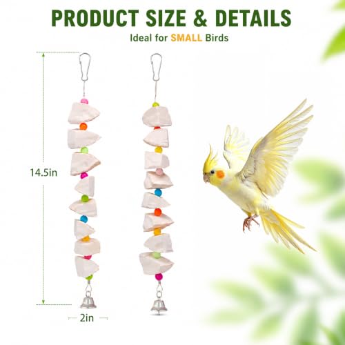 2 Pack Bird Toys with Cuttlebone & Beak Grinding Stone–Cage Accessories for Parakeets, Budgies, Cockatiels, Lovebirds, Green Cheeks & Small to Medium Birds